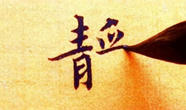 书法视频,书法艺术视频赏析